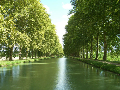 Balade romantique le long du canal du Midi