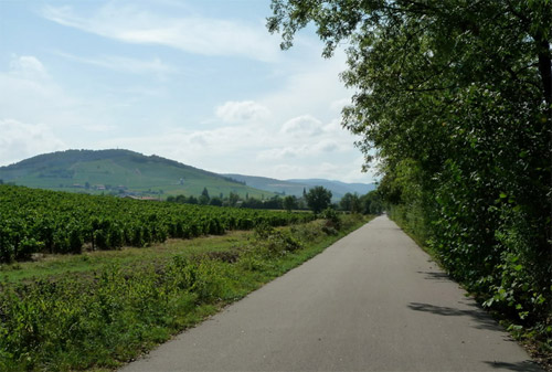 Promenade le long de la voie verte du Beaujolais