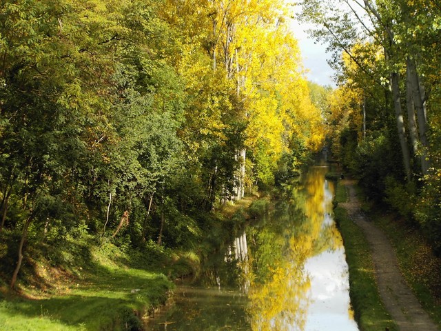 Promenade romantique le long du canal de l'Ourcq